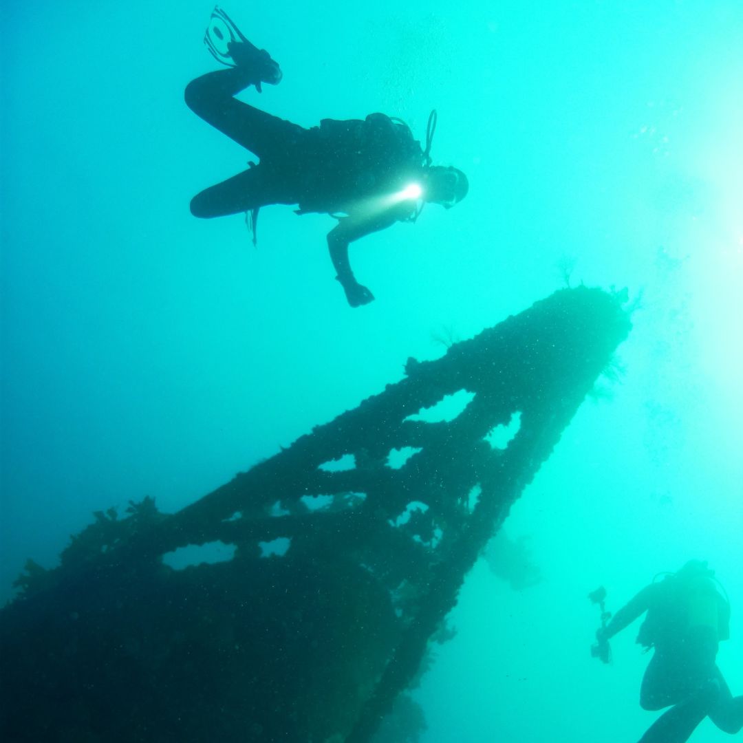 Rainbow Warrior Wreck and Reef Dive