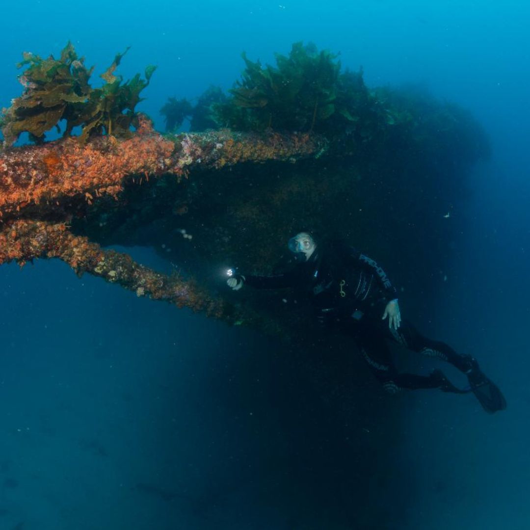 Rainbow Warrior Wreck and Reef Dive