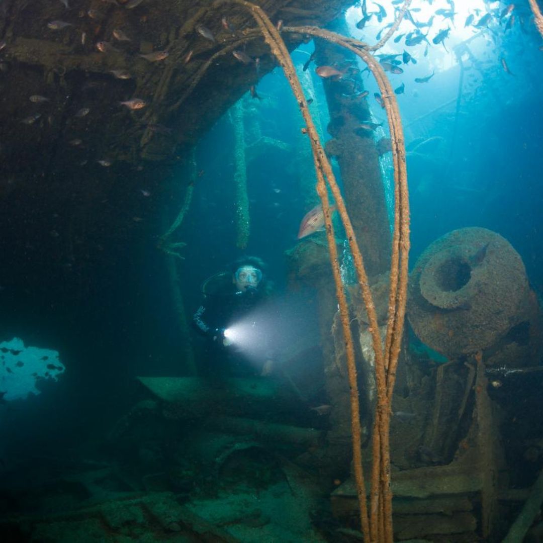 Rainbow Warrior Wreck and Reef Dive