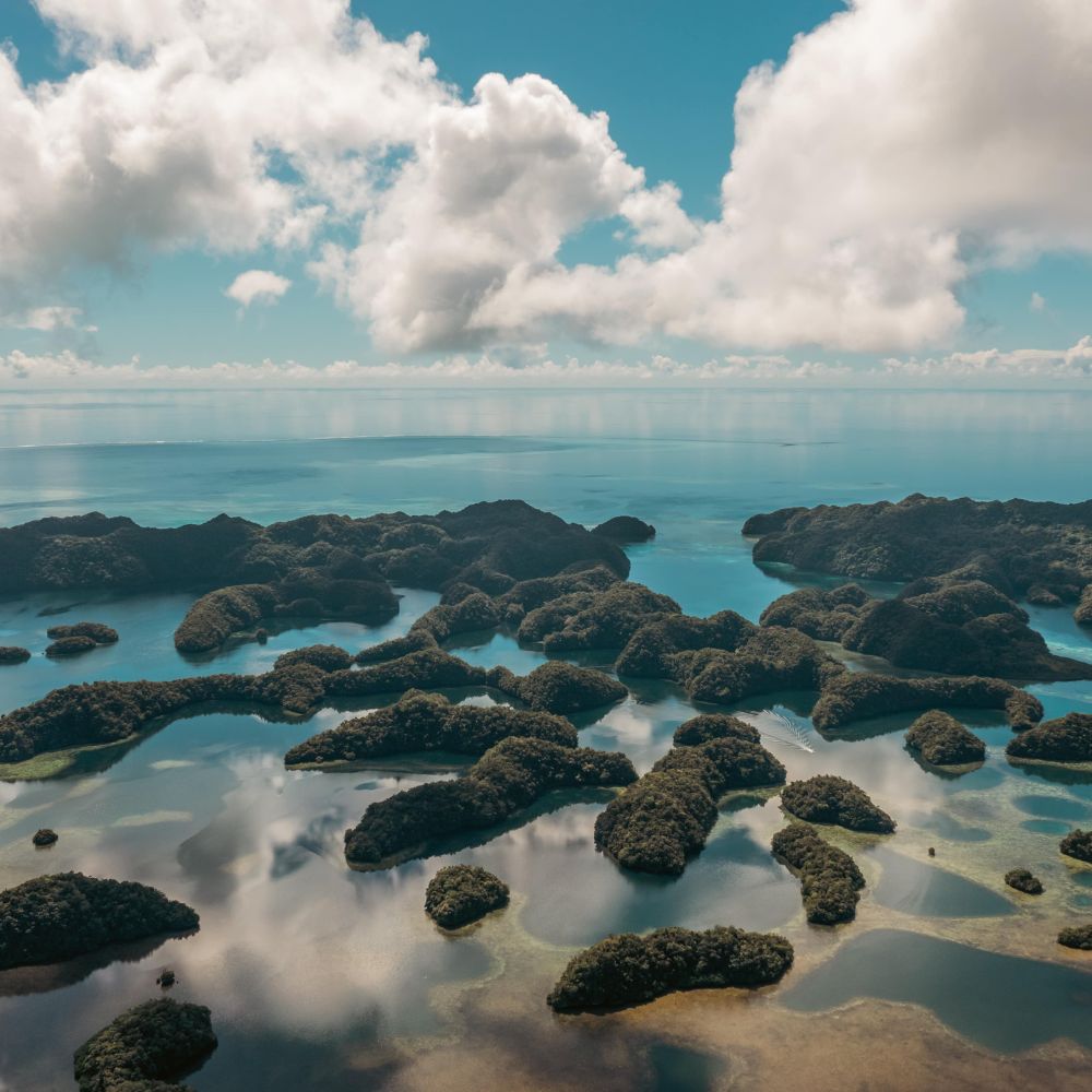 Best of Palau Scuba Diving Liveaboard