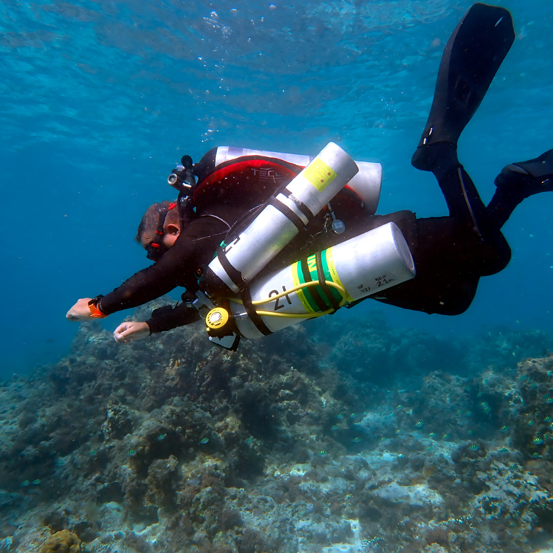 Moalboal PADI Nitrox Diver Course Cebu Fun Divers