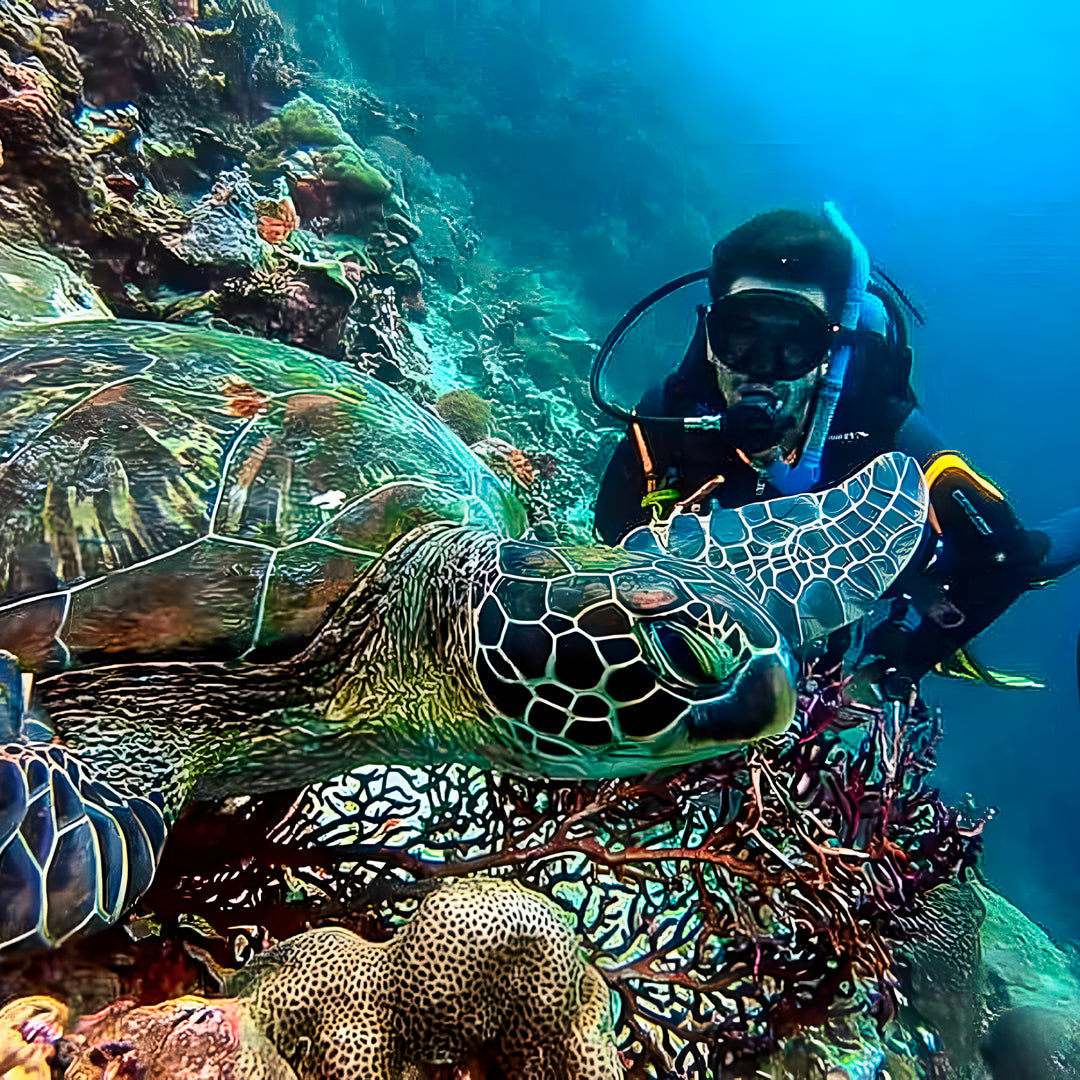 Moalboal PADI Nitrox Diver Course Cebu Fun Divers