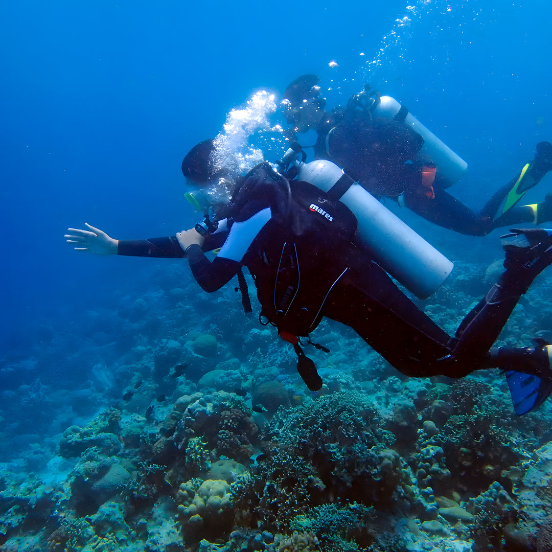 Moalboal PADI Nitrox Diver Course