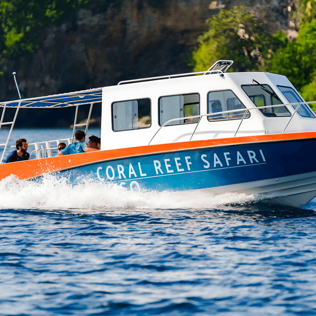 Coral Reef Safari Island Trip Coral Reef Safari