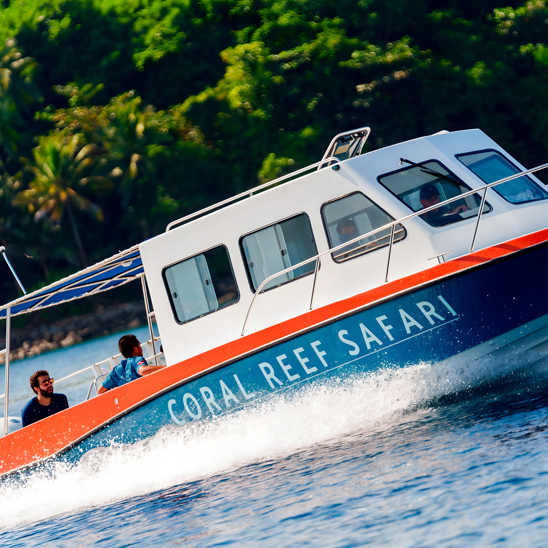 Coral Reef Safari Island Trip Coral Reef Safari