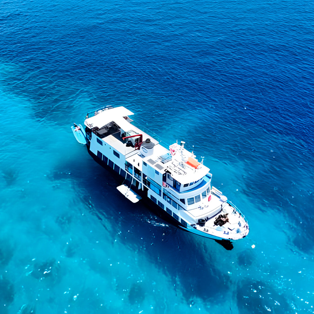 Apo Reef & Coron Bay Scuba Diving Liveaboard