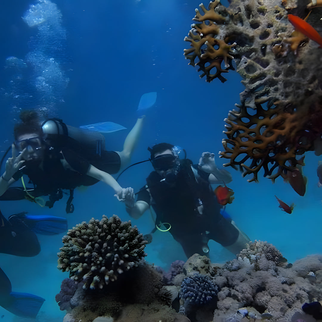 Puerto Princesa Scuba Diving Liveaboard