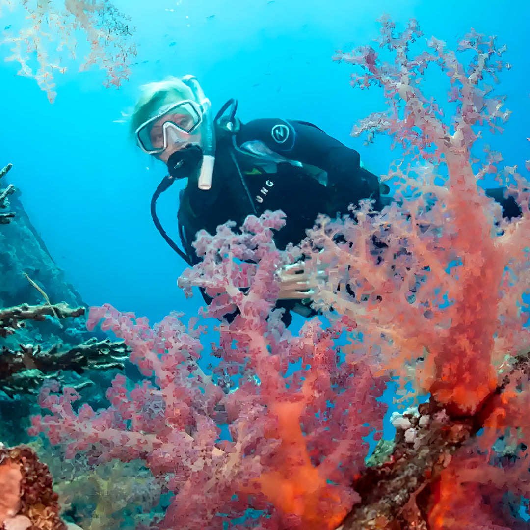 PADI Open Water Diver Course Eclipse Dive Center Boracay