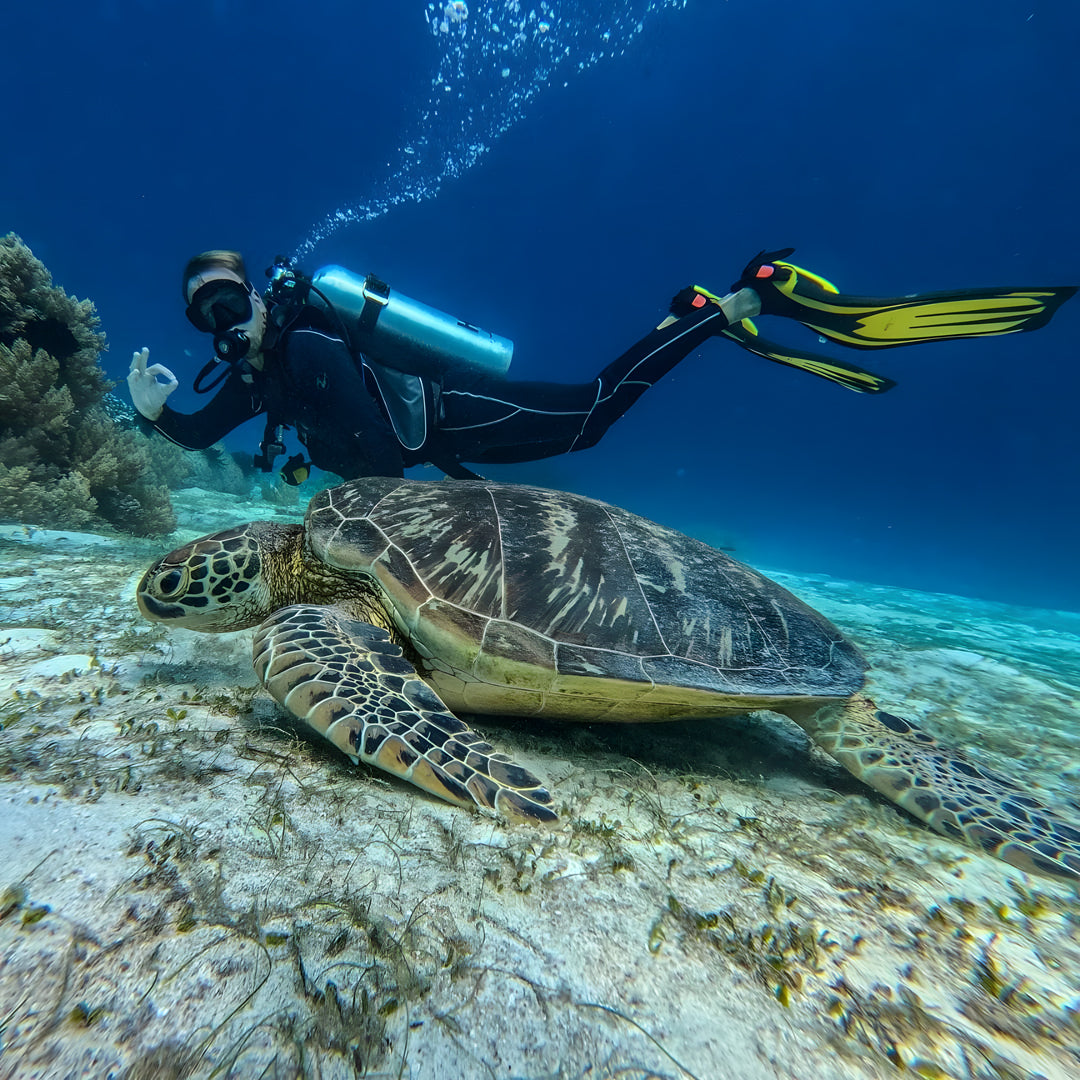 Scuba Diving Refresher Course