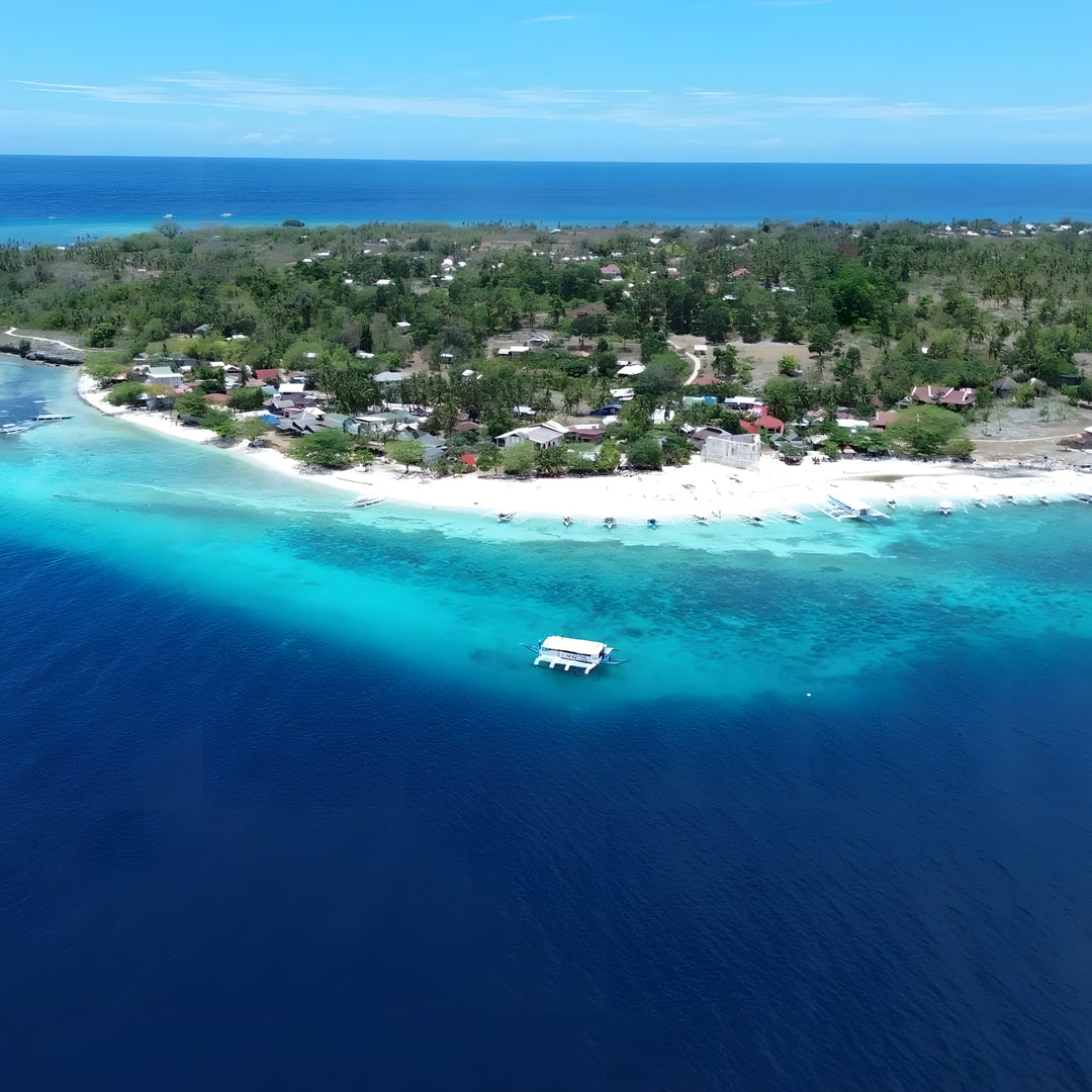 Panglao Scuba Dive Trip