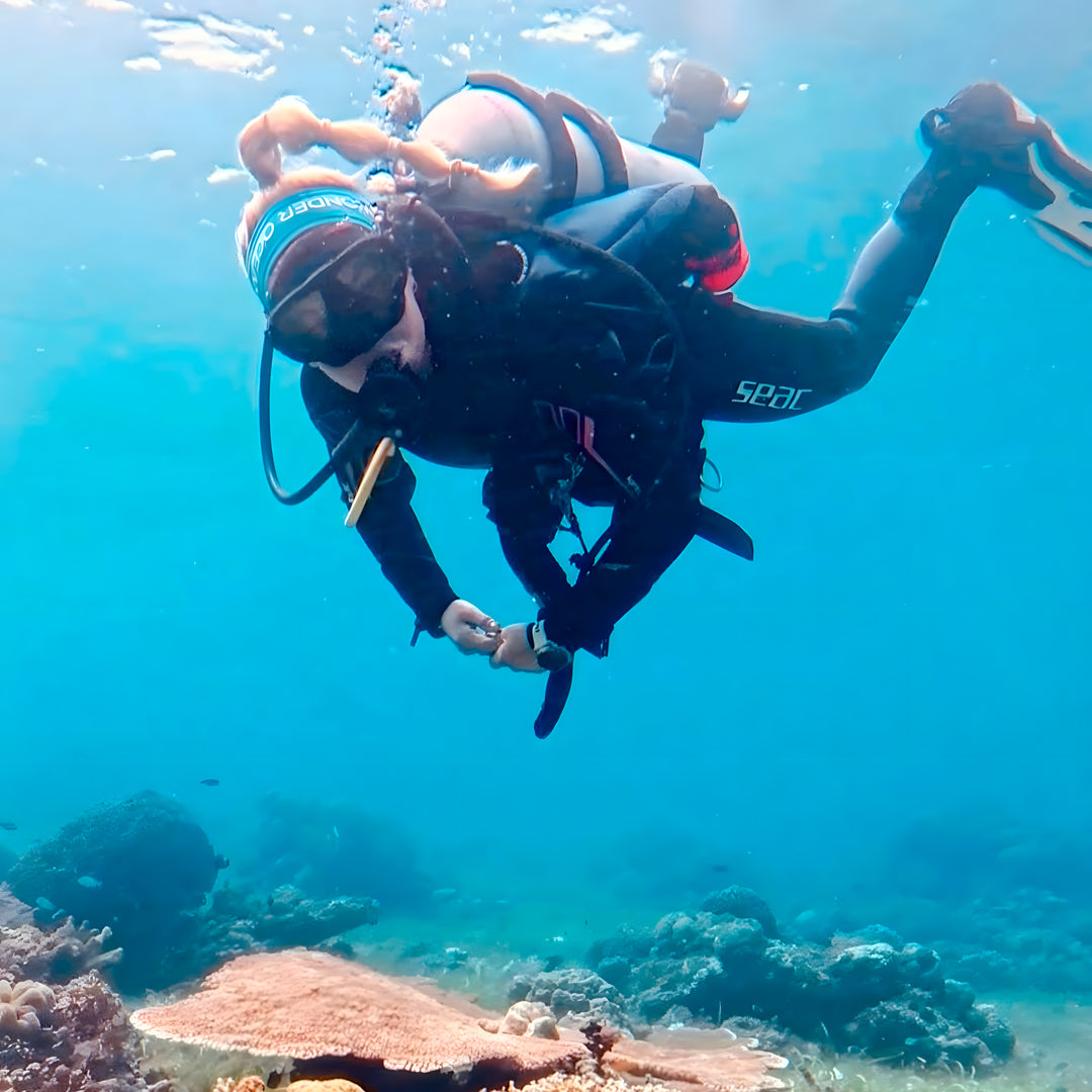 Panglao Scuba Dive Trip Haka Dive Center