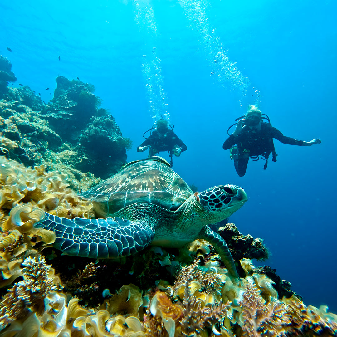 Scuba Diving Refresher Course Haka Dive Center