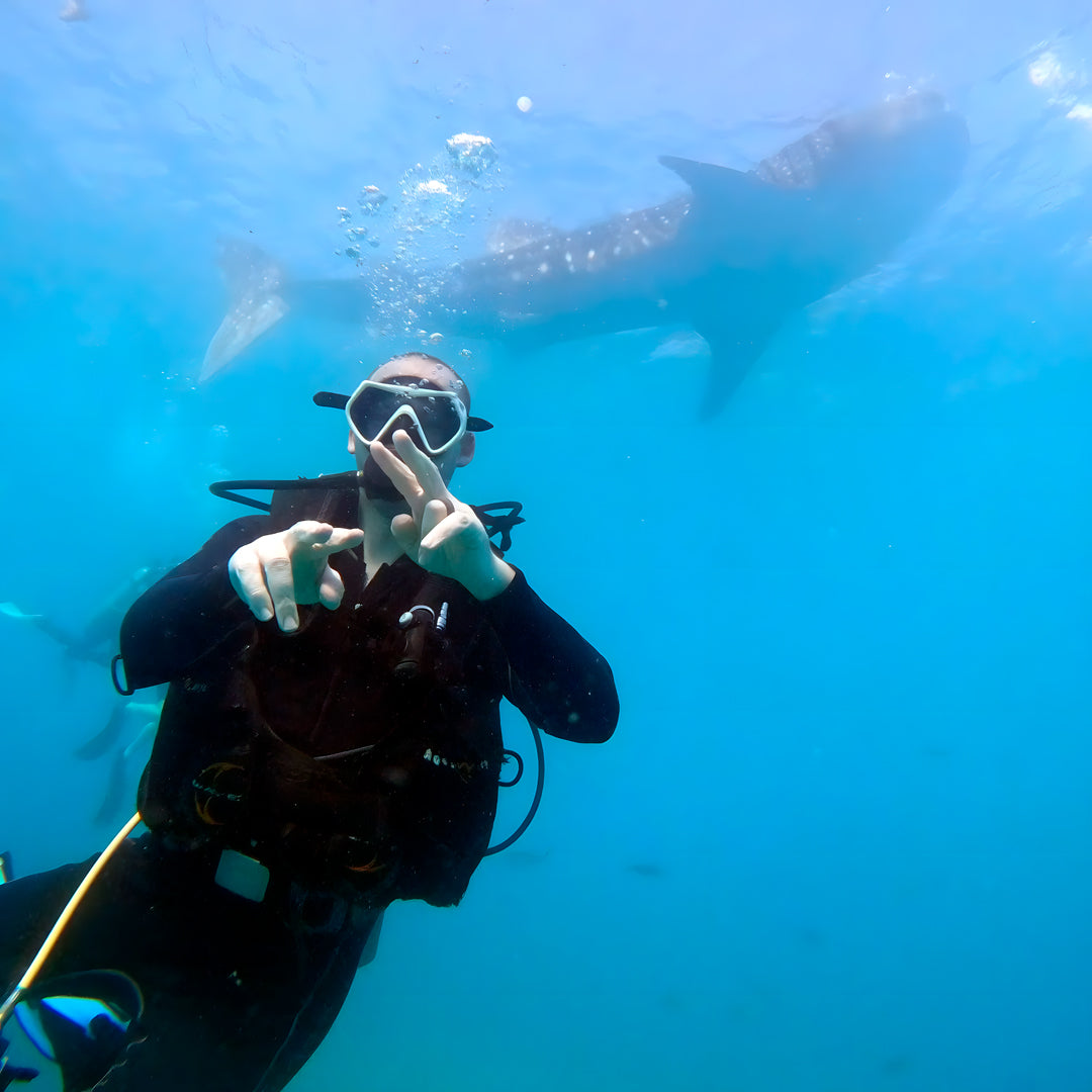 Moalboal Scuba Diving Sardine Run Island Trek Tours