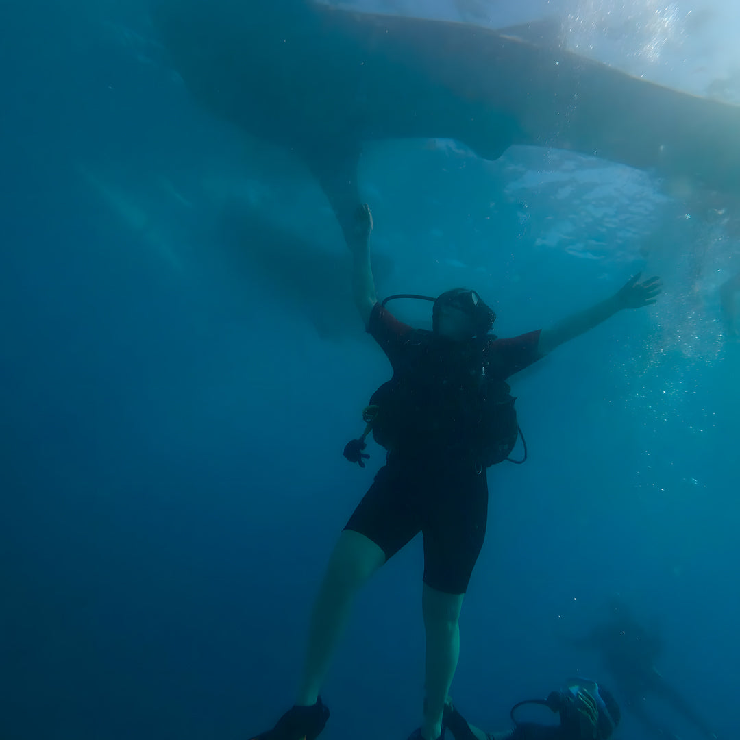 Moalboal Scuba Diving Sardine Run Island Trek Tours