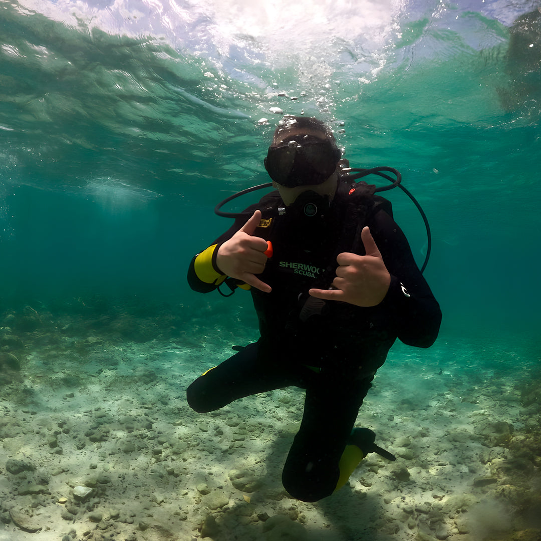 Scuba Diving with the Whale Sharks in Oslob Island Trek Tours