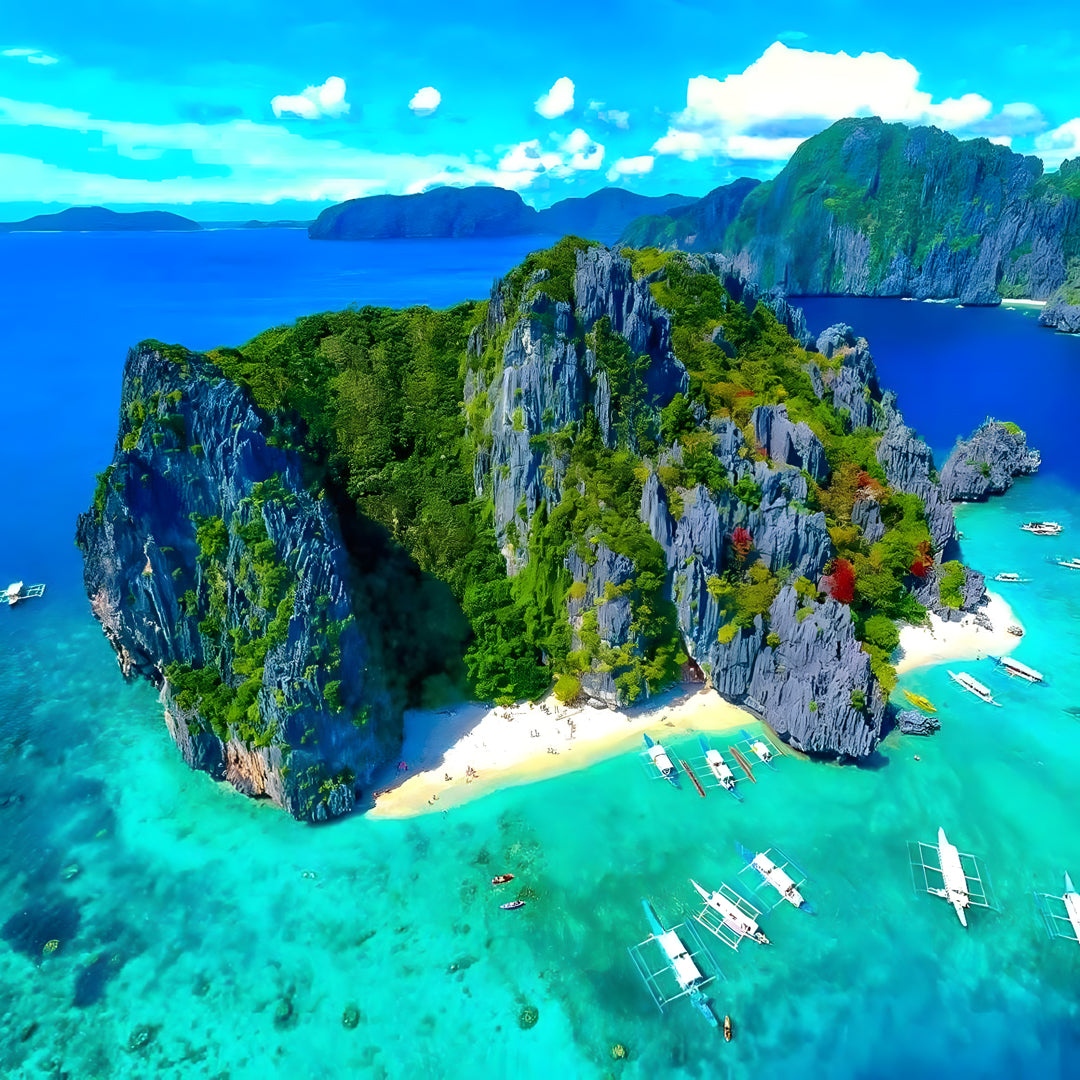 Scuba Diving with the Whale Sharks in Oslob Island Trek Tours