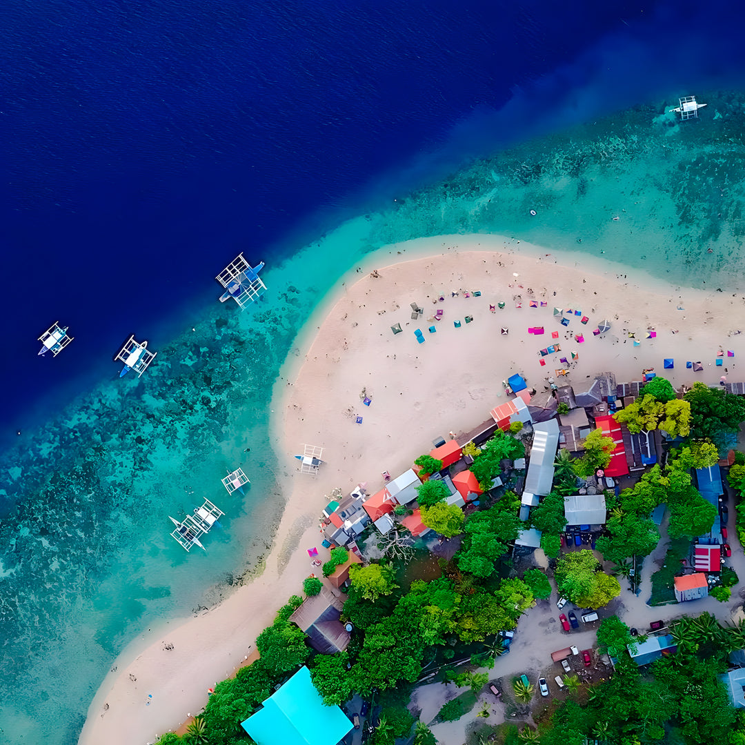 Scuba Diving with the Whale Sharks in Oslob Island Trek Tours