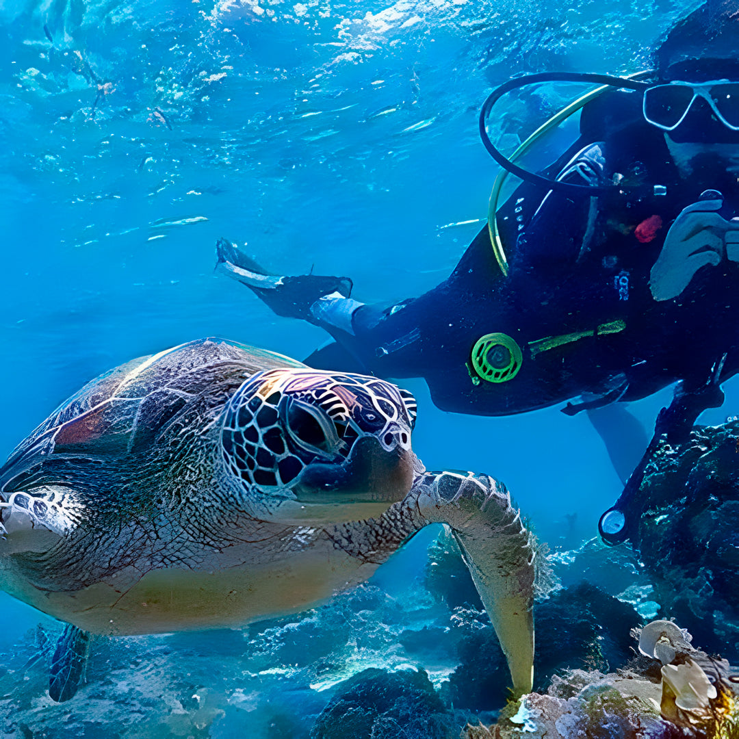 Scuba Diving with the Whale Sharks in Oslob Island Trek Tours