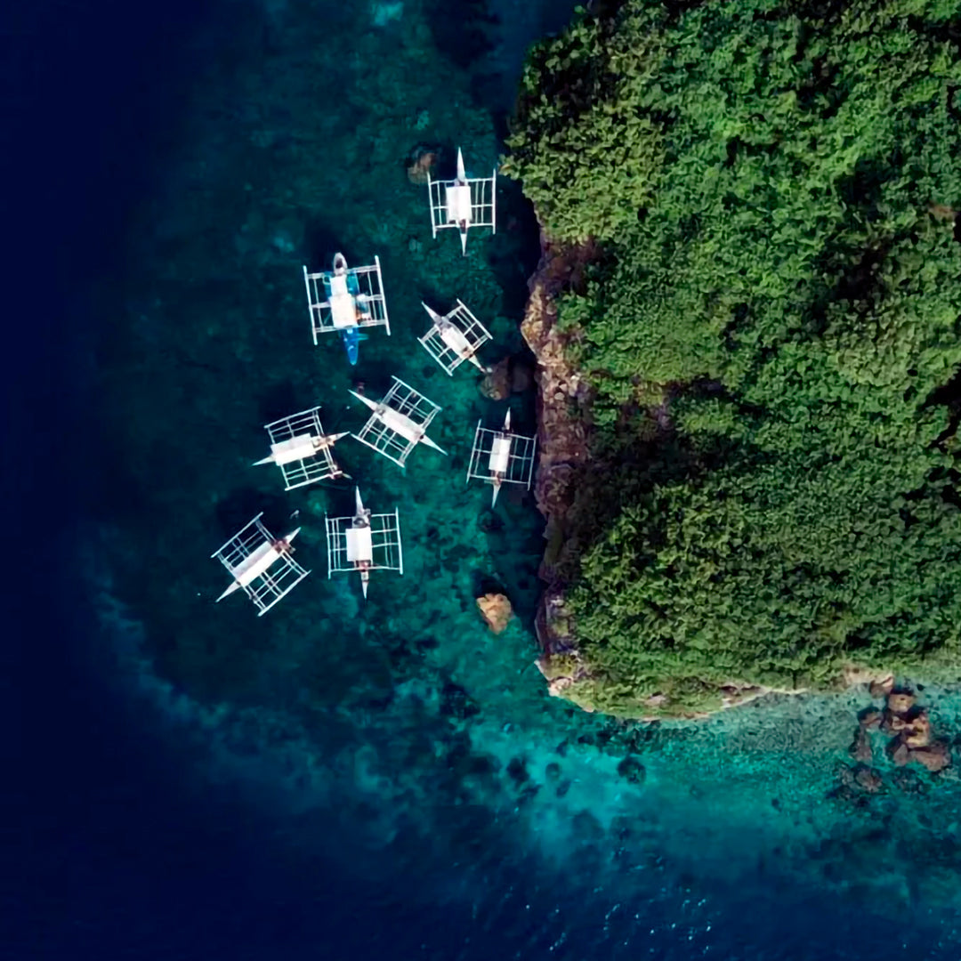 Moalboal Scuba Diving Sardine Run