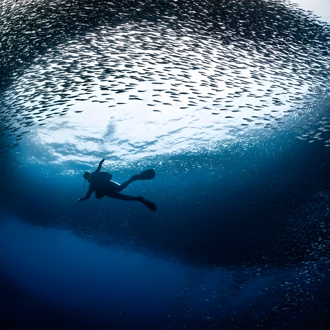 Malapascua Scuba Diving Liveaboard Master Liveaboards