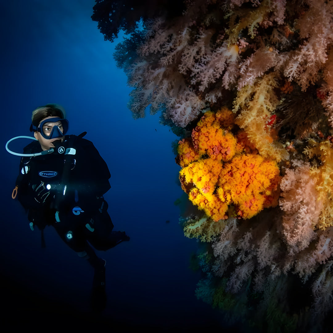 Malapascua Scuba Diving Liveaboard Master Liveaboards
