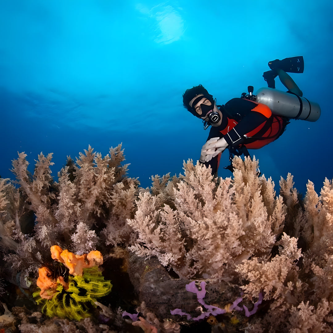 Malapascua Scuba Diving Liveaboard Master Liveaboards