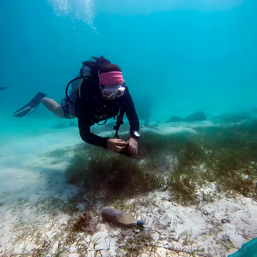 Boracay Discover Scuba Diving Shore Program New Wave Diver Club