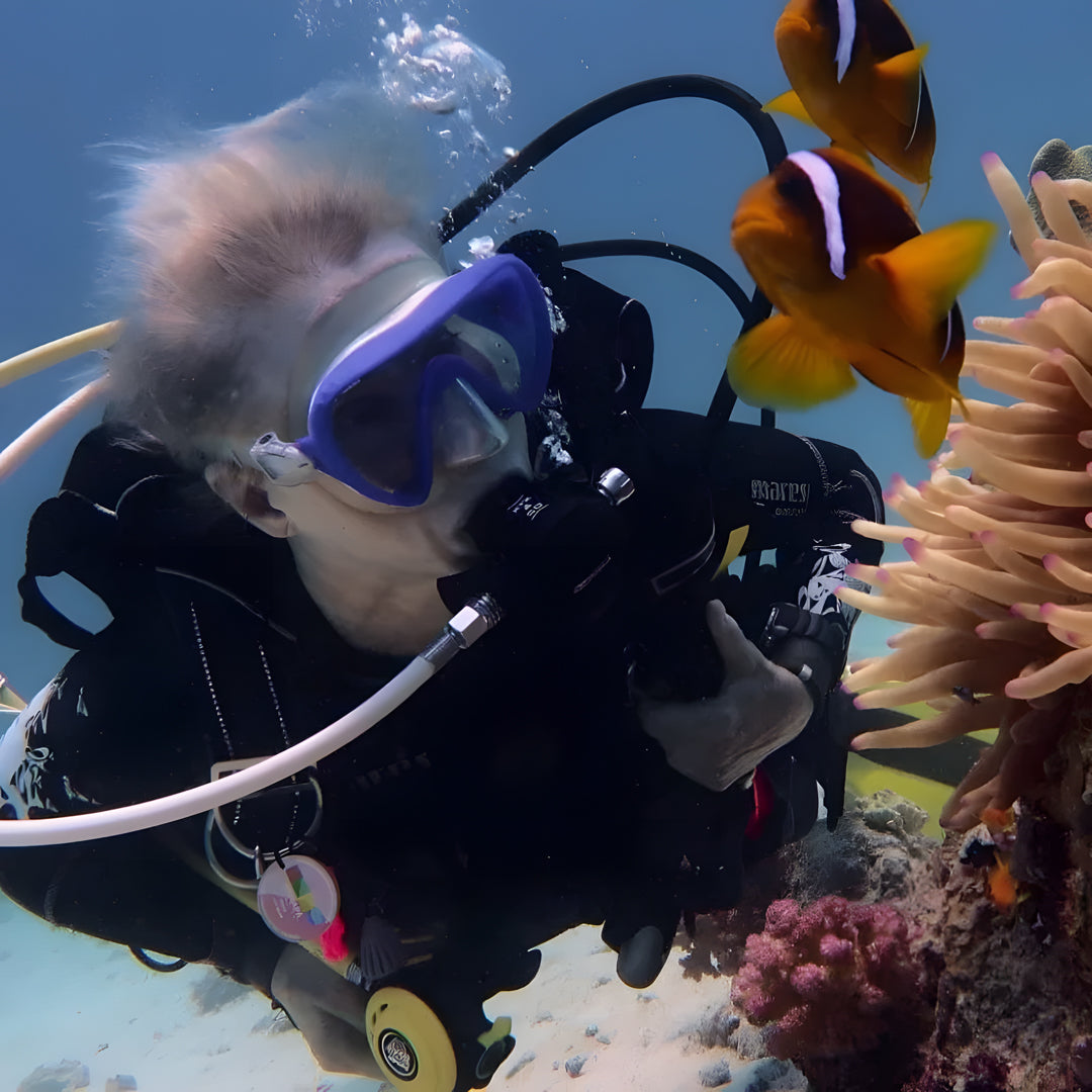 Boracay PADI Open Water Scuba Diving Course
