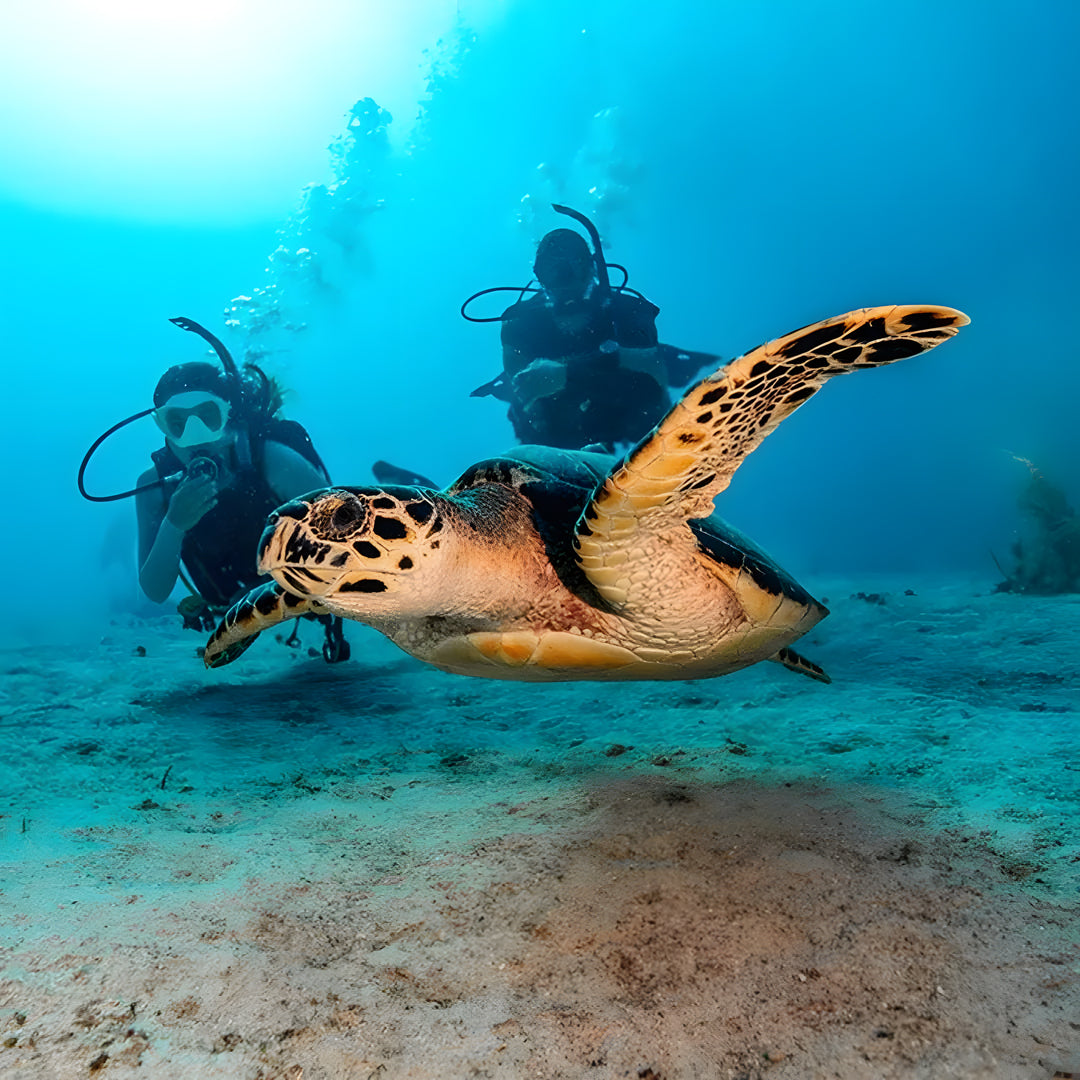 Boracay Discover Scuba Diving Program