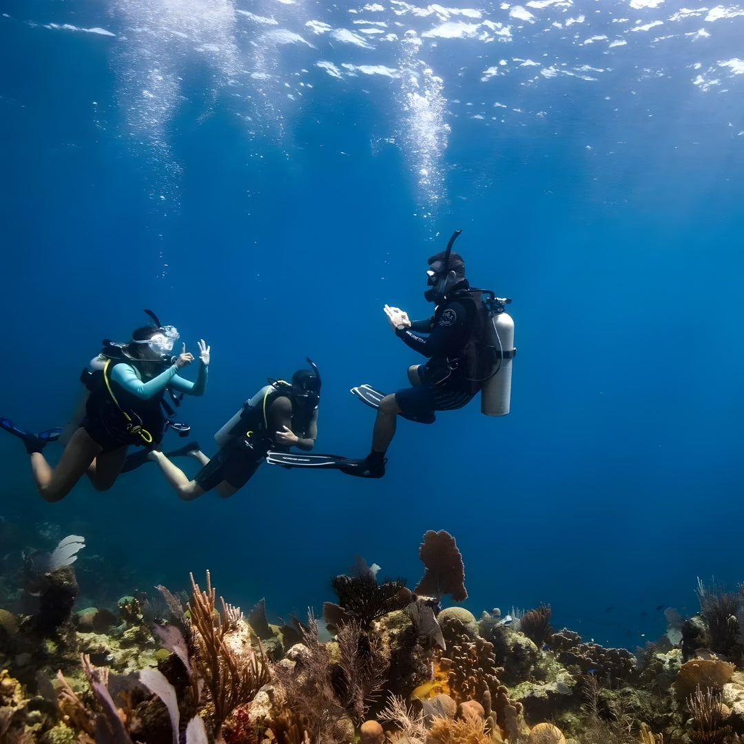 Boracay PADI Open Water Scuba Diving Course New Wave Diver Club