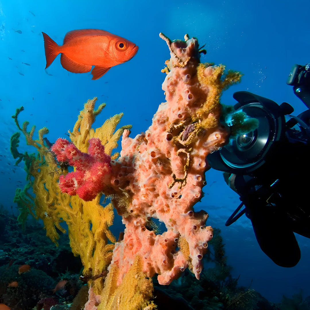 Boracay PADI Open Water Scuba Diving Course New Wave Diver Club
