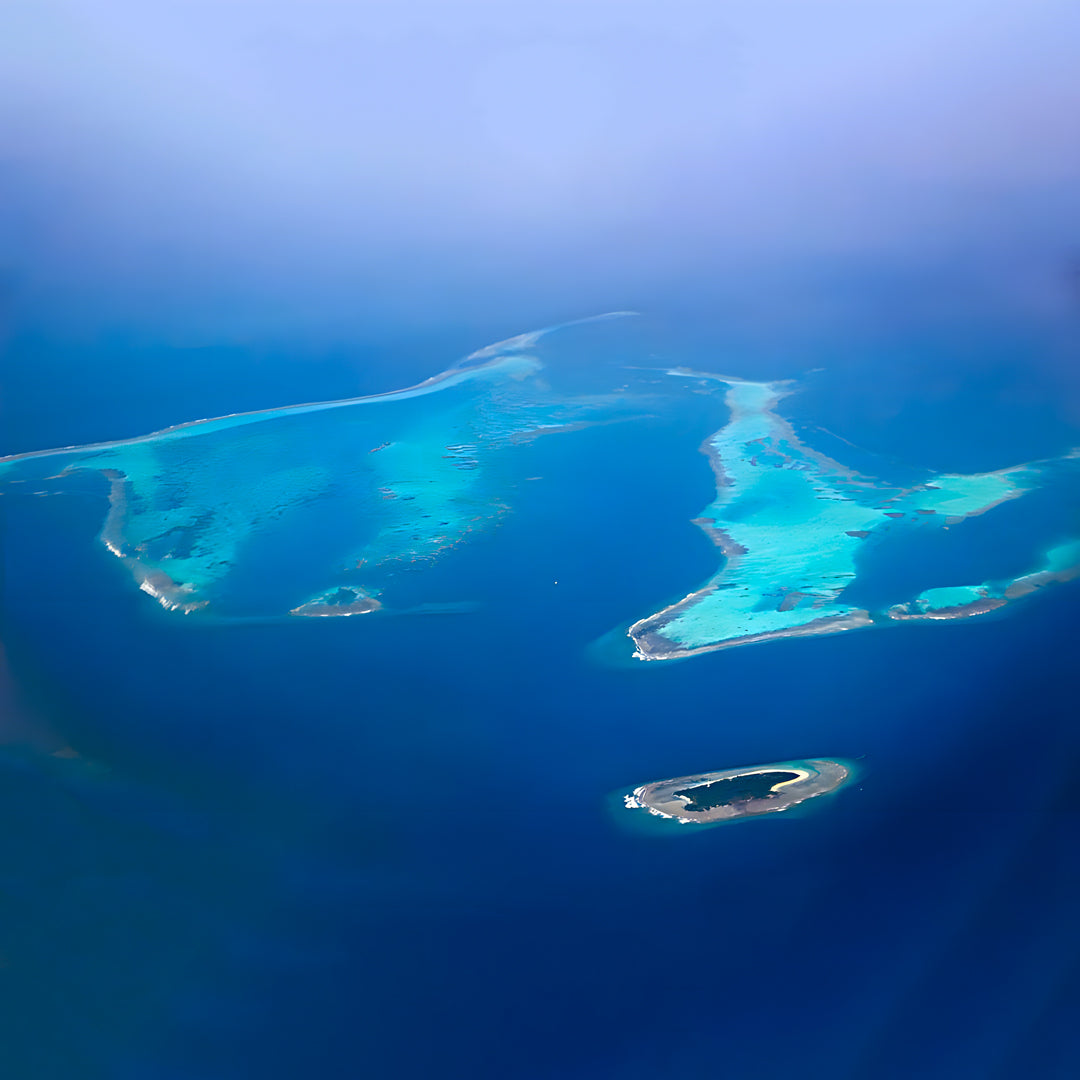 Apo Reef Group Scuba Diving Day Trip Pandan Island Dive