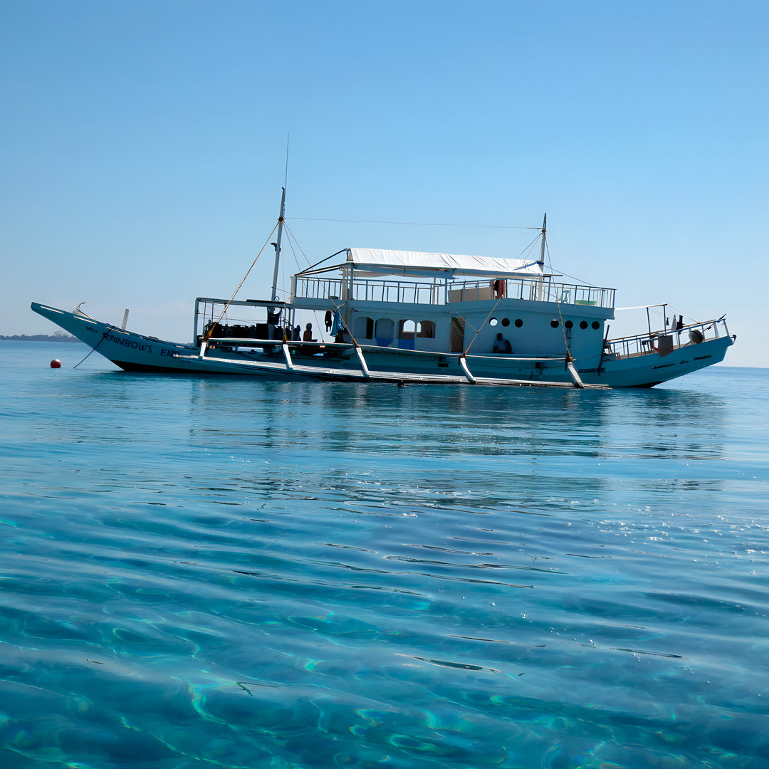 Apo Reef Group Scuba Diving Day Trip Pandan Island Dive