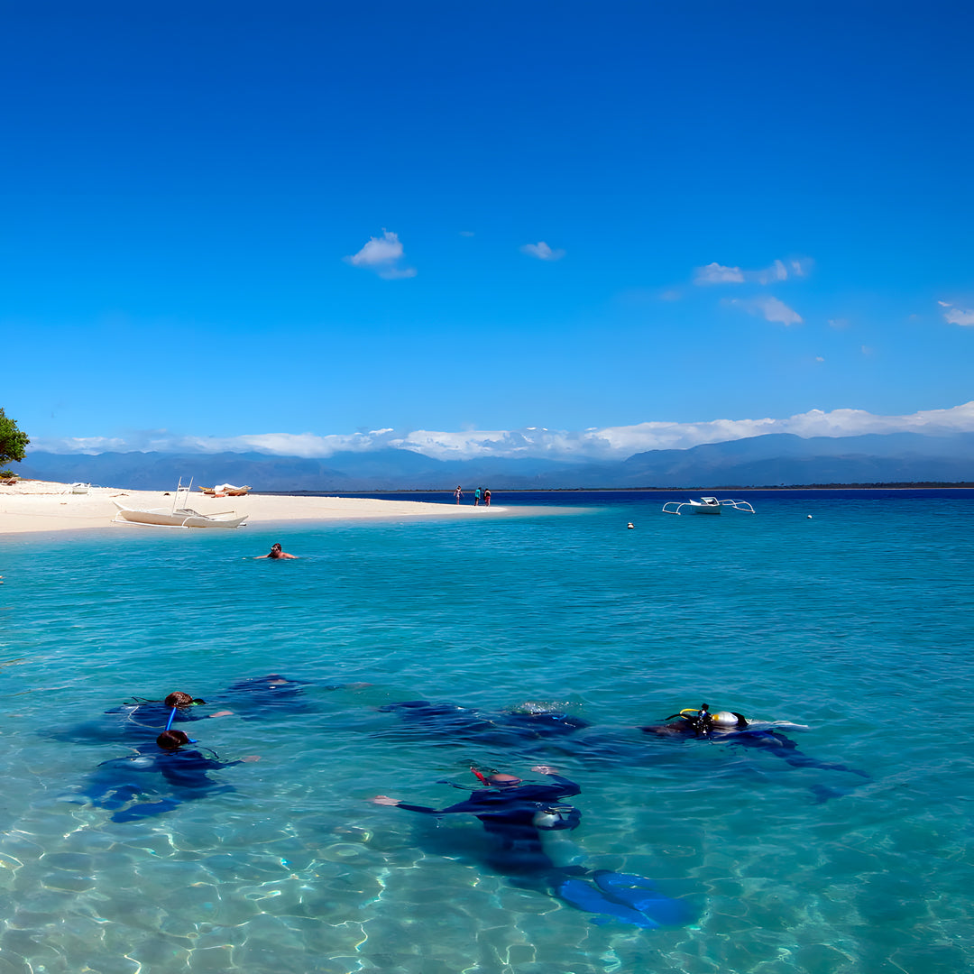 Apo Reef Group Scuba Diving Day Trip Pandan Island Dive