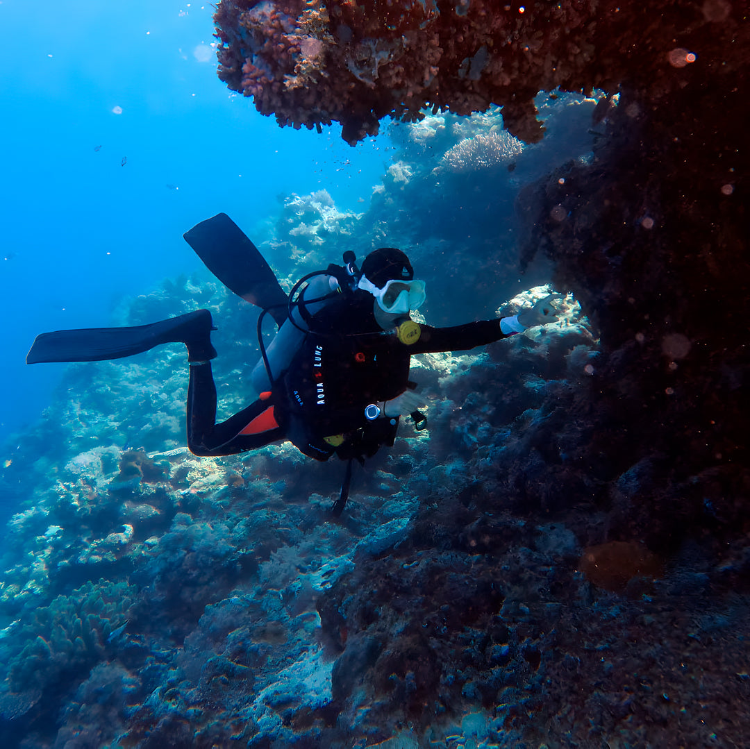 Apo Reef Group Scuba Diving Day Trip Pandan Island Dive