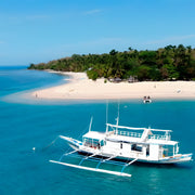 Apo Reef Group Scuba Diving Day Trip Pandan Island Dive