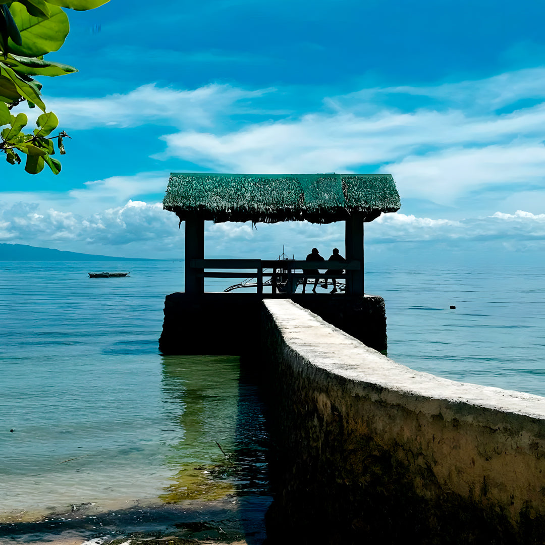 Camotes Island Fun Dive Reef Waters Resorts