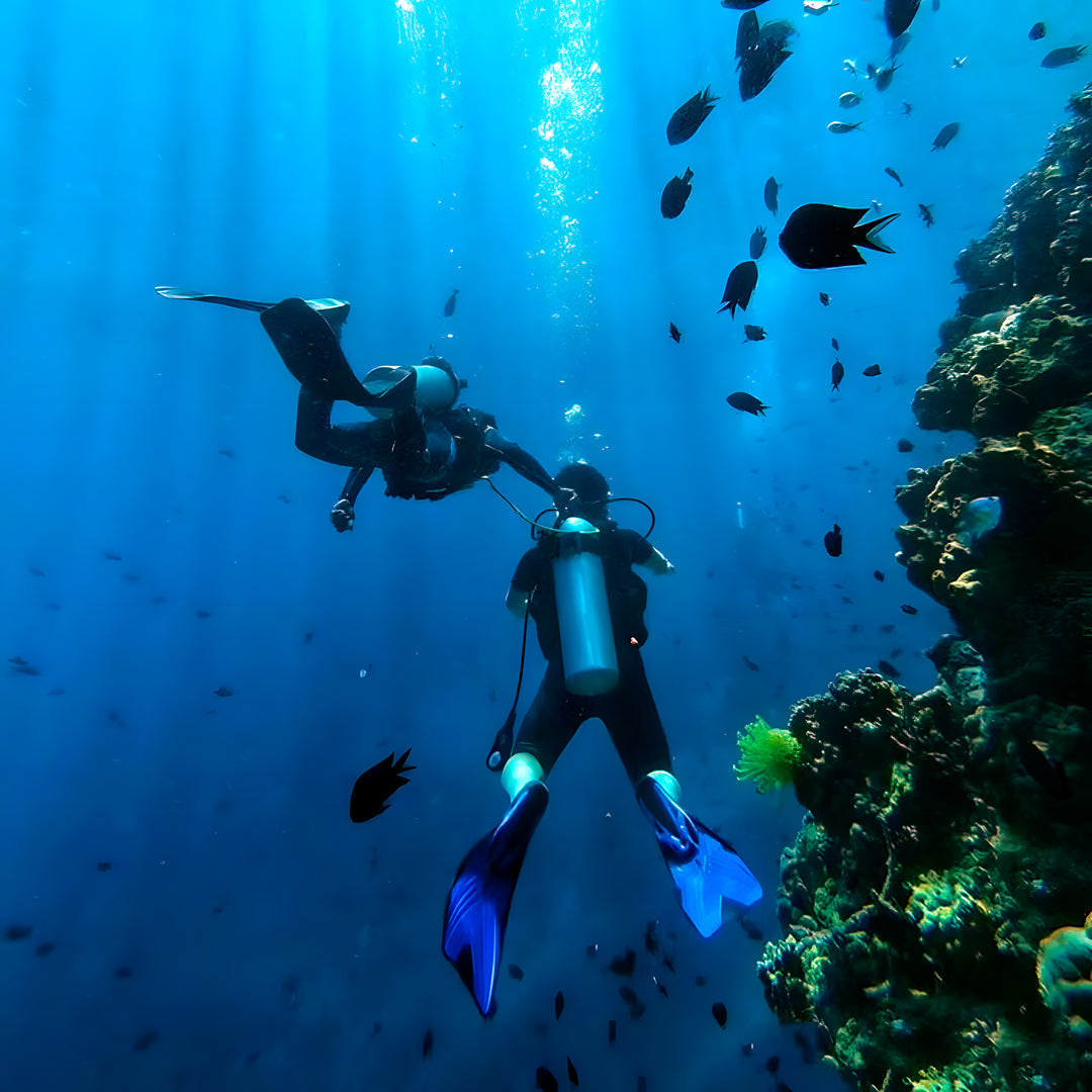 Camotes Island Fun Dive