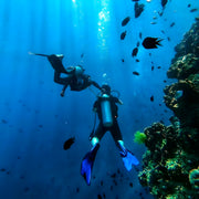 Camotes Island Fun Dive Reef Waters Resorts