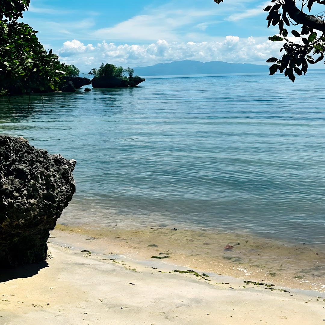 Camotes Island Fun Dive Reef Waters Resorts