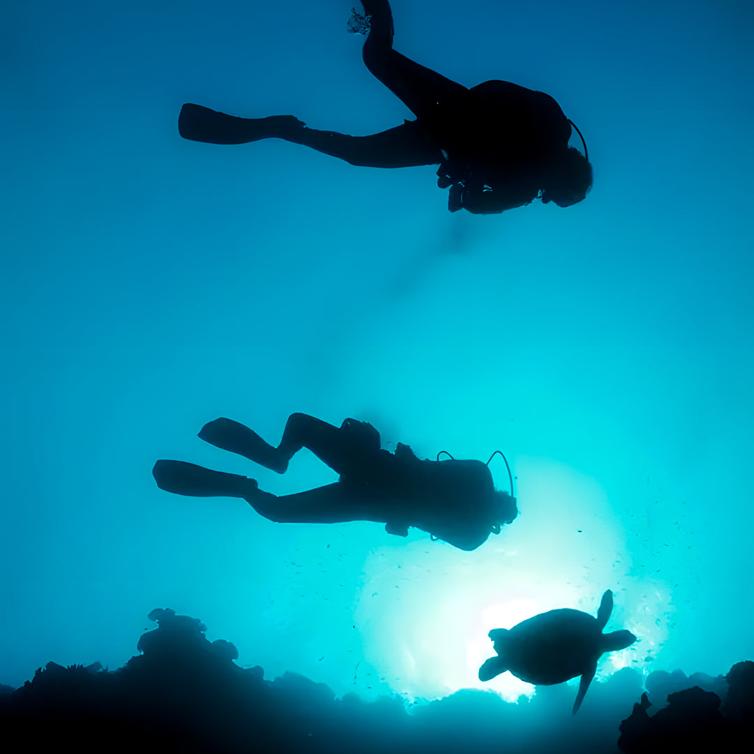 Moalboal Sardine Fun Boat Dive