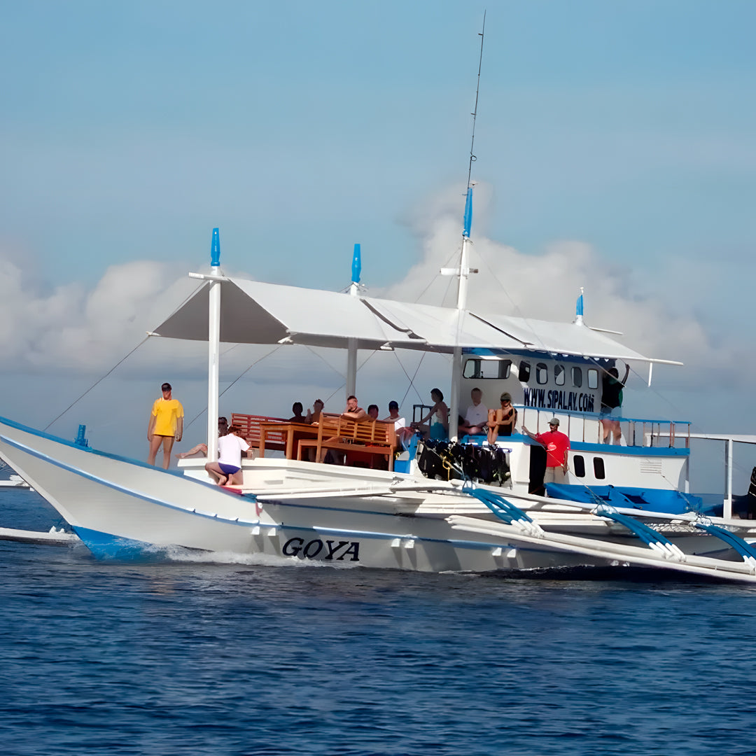 Moalboal Sardine Fun Boat Dive