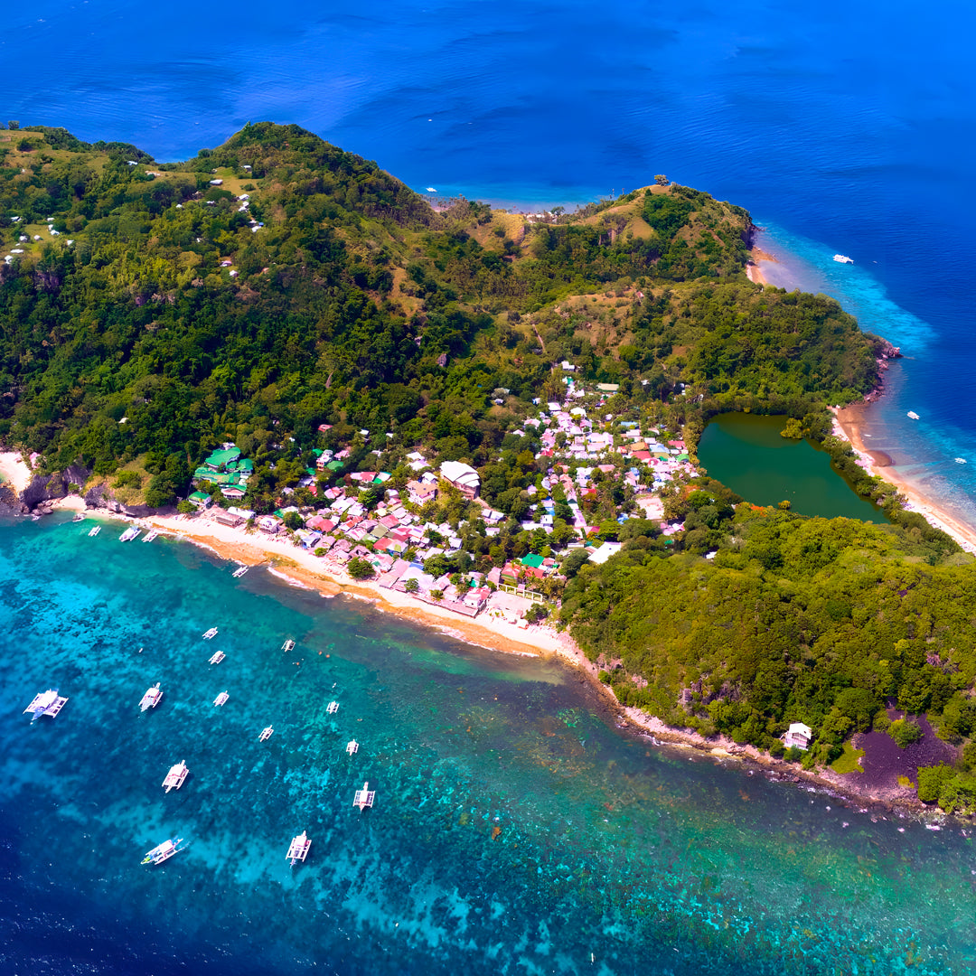 Moalboal Sardine Fun Boat Dive