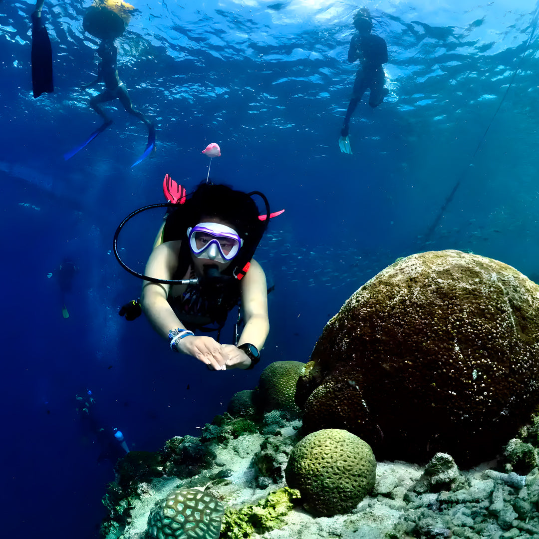 PADI Discover Scuba Diving with Sardines in Moalboal