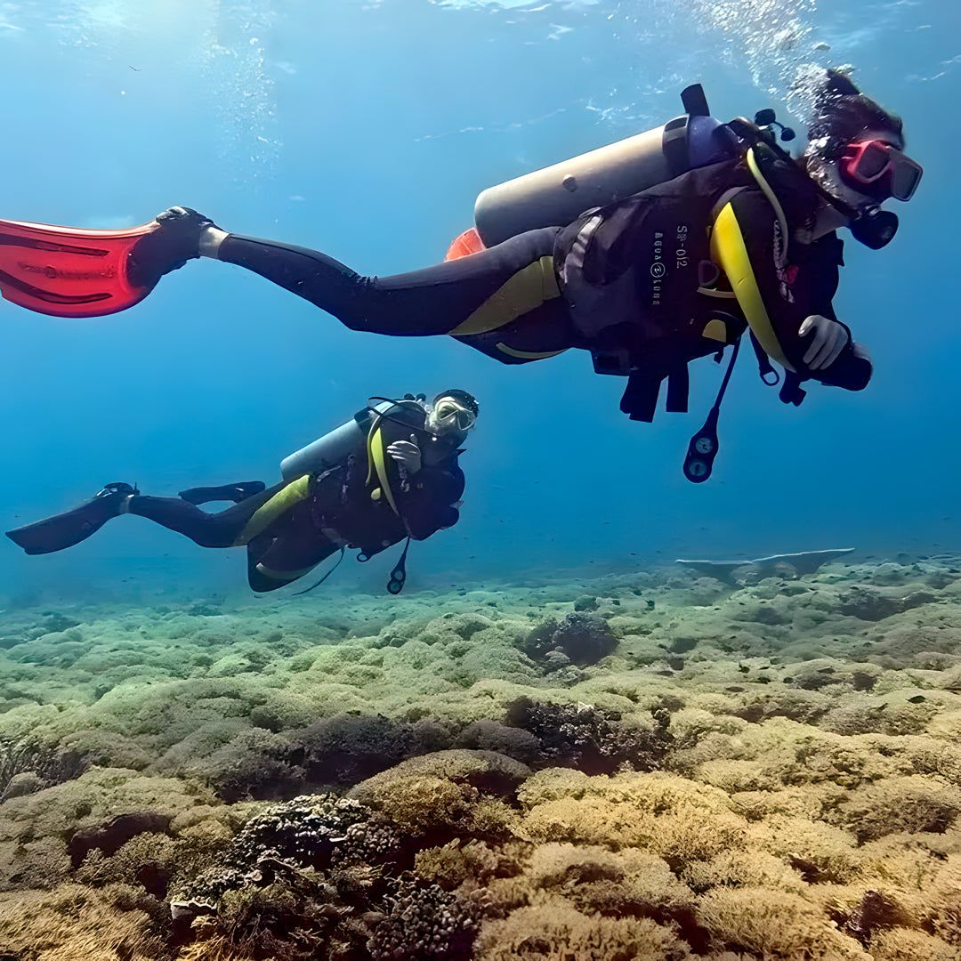 PADI Discover Scuba Diving with Sardines in Moalboal