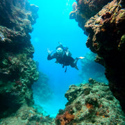 Moalboal PADI Advanced Open Water Course