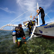 Moalboal Sardine Fun Boat Dive