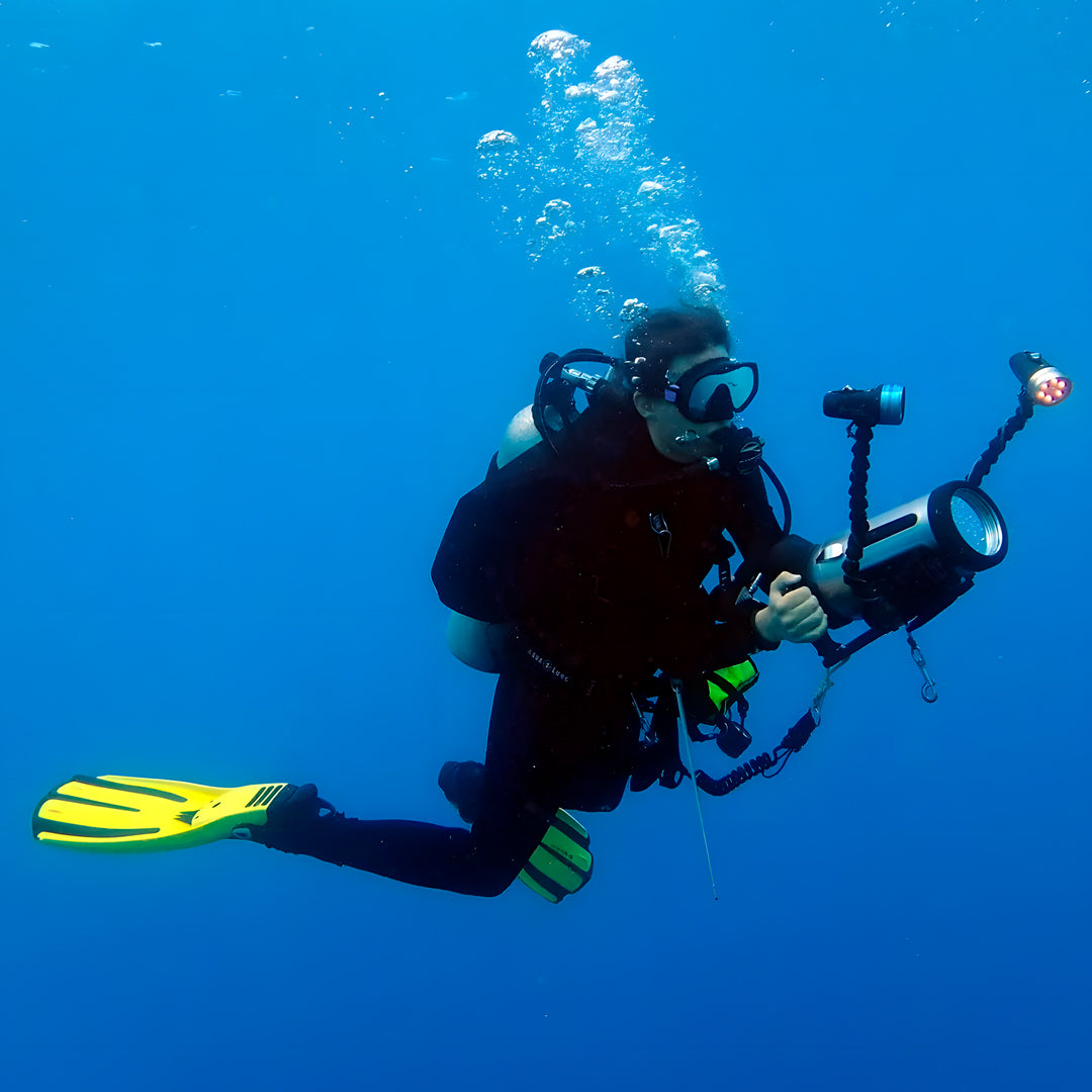 Moalboal Sardine Fun Boat Dive