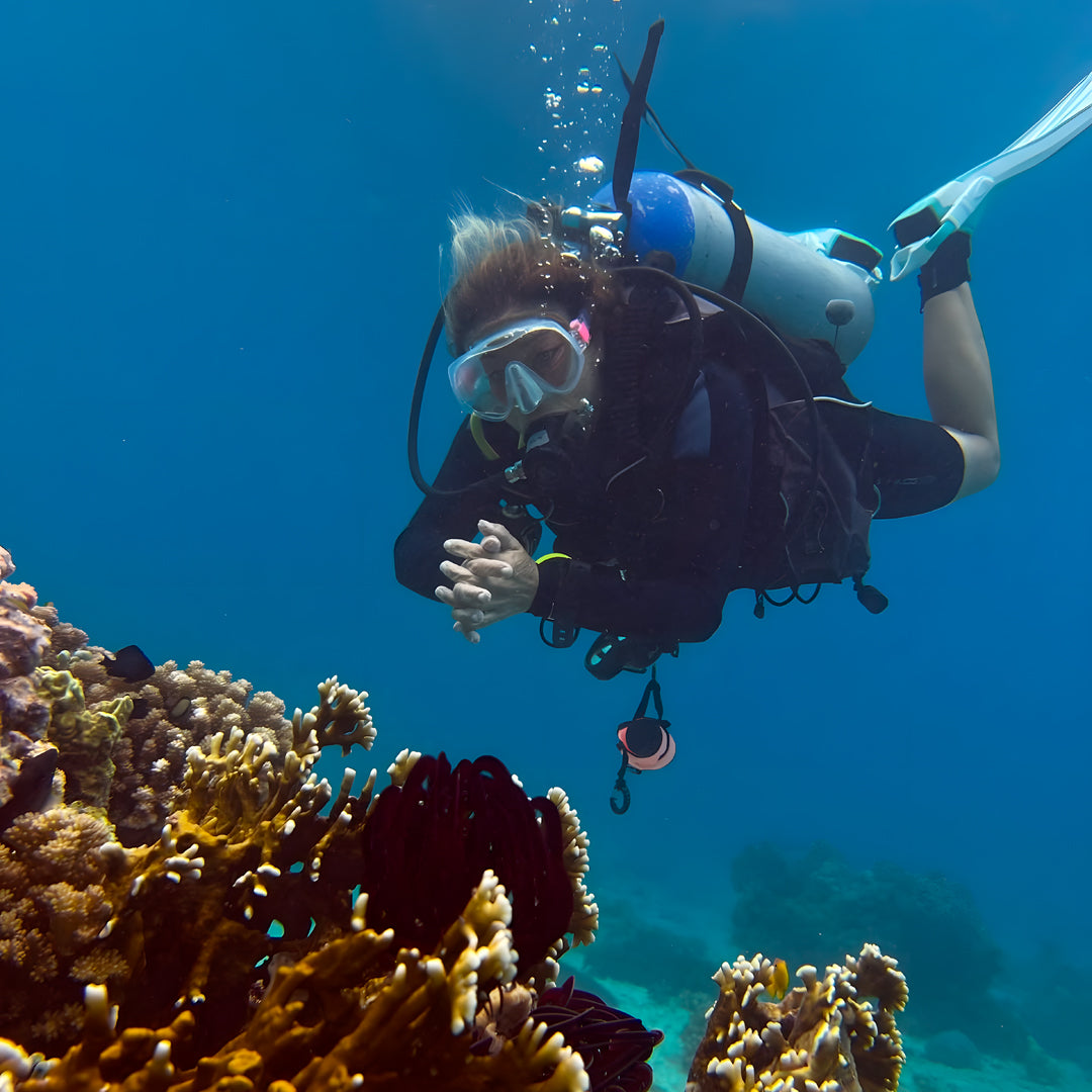 Moalboal Sardine Fun Boat Dive