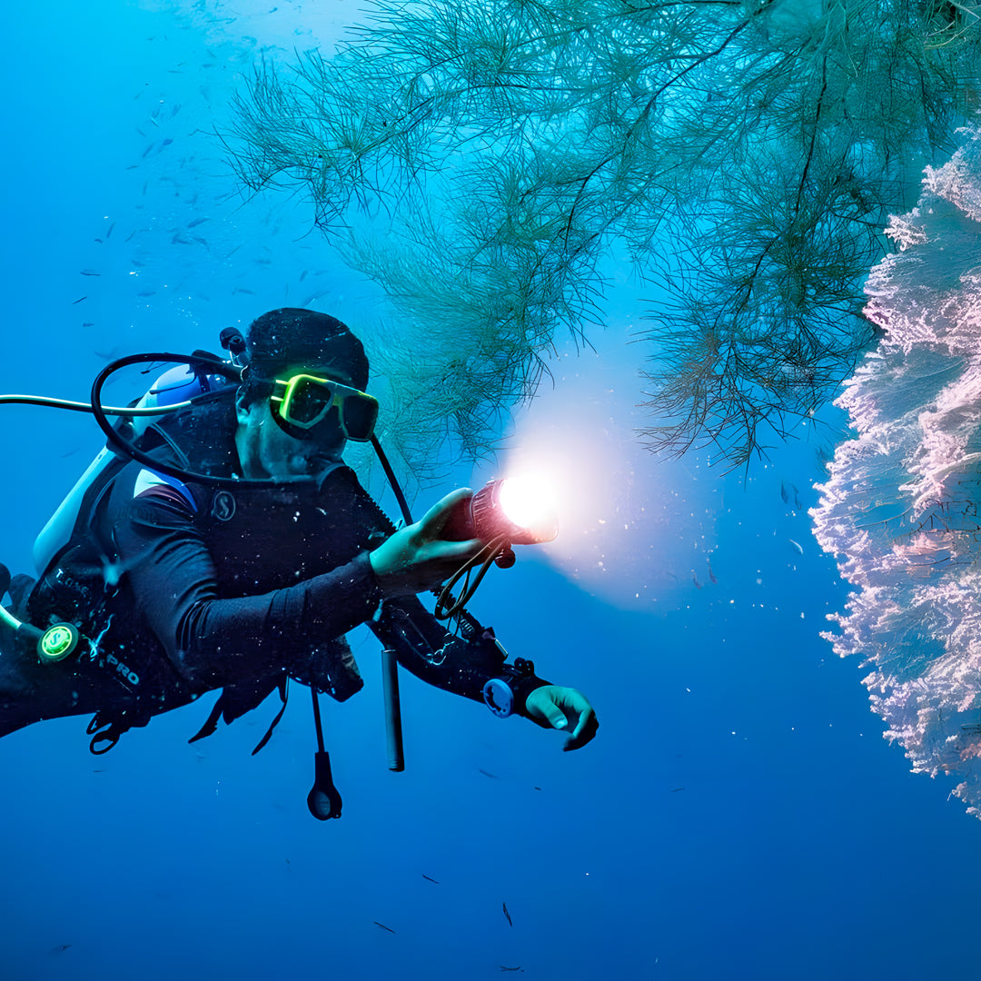 PADI Discover Scuba Diving with Sardines in Moalboal